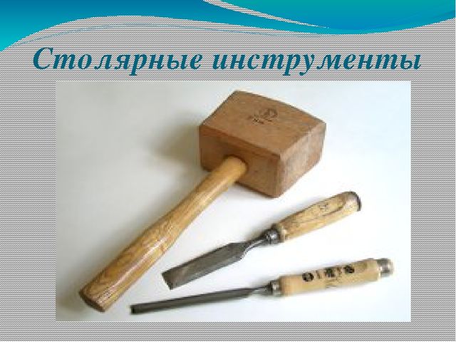 Презентация по экологии на тему "Лес в жизни человека для детей 6- 7 лет"