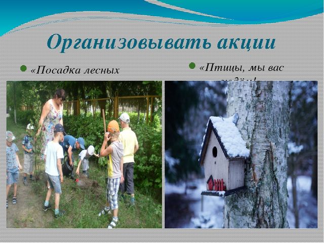 Презентация по экологии на тему "Лес в жизни человека для детей 6- 7 лет"