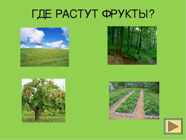 Что где растет презентация для детей