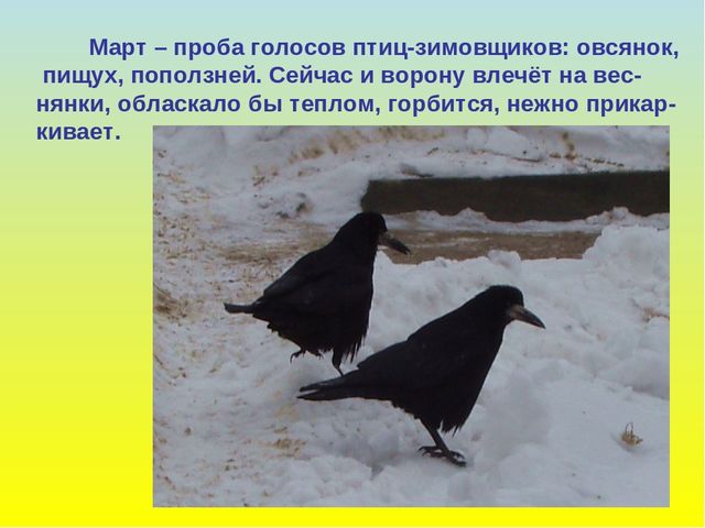 Презентация "В гости к весне"