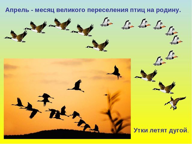 Презентация "В гости к весне"
