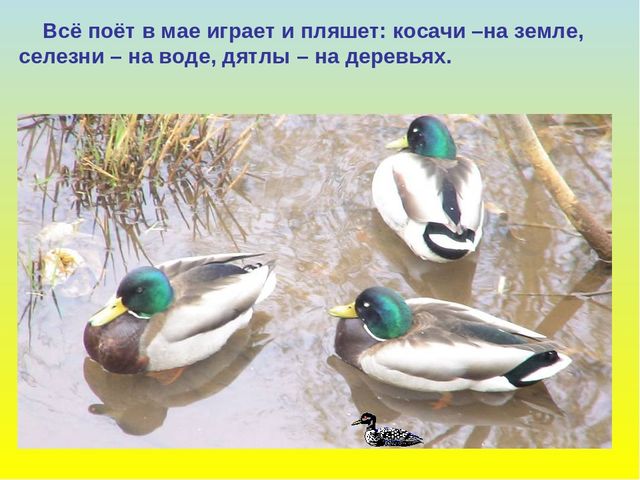 Презентация "В гости к весне"