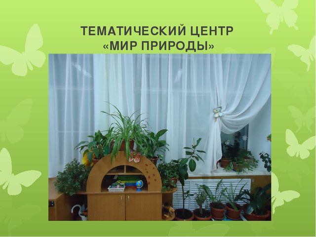 Презентация "Предметно-развивающая среда в старшей группе"