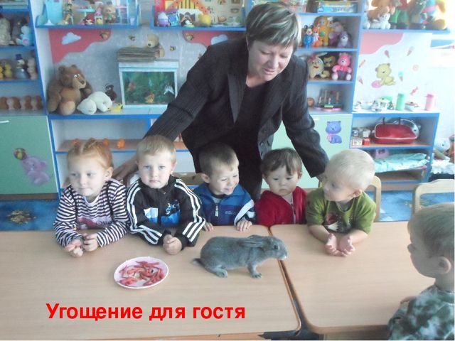 Презентация "Наше солнышко" 2 младшая группа