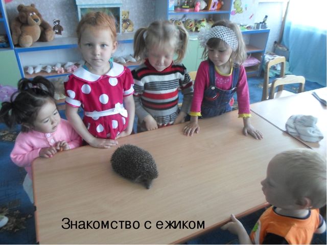 Презентация "Наше солнышко" 2 младшая группа