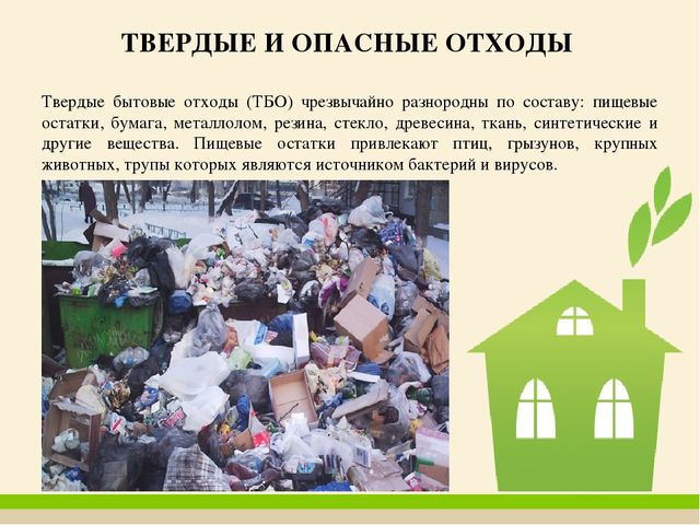 Презентация по экологическому воспитанию: Антропогенное воздействие на окружающую среду (открытое занятие)