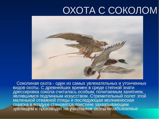 Презентация по казахскому языку "Обычай казахского народа"
