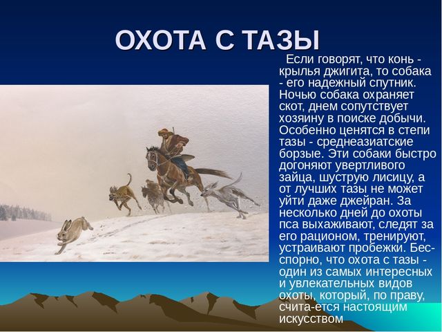 Презентация по казахскому языку "Обычай казахского народа"