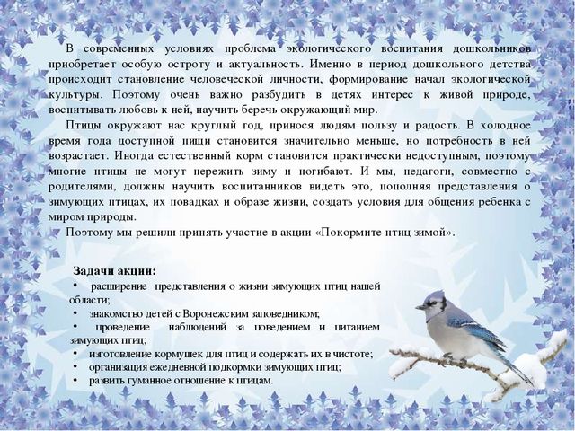 Презентация по экологическому воспитанию : "Покорми птиц"