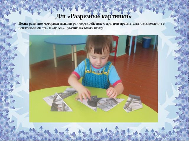 Презентация по экологическому воспитанию : "Покорми птиц"