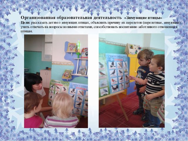 Презентация по экологическому воспитанию : "Покорми птиц"