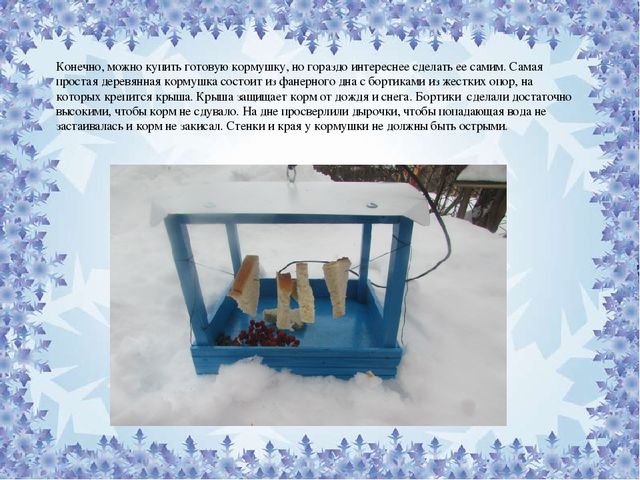 Презентация по экологическому воспитанию : "Покорми птиц"