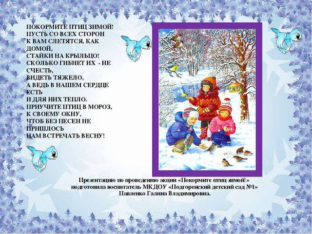 Презентация по экологическому воспитанию : "Покорми птиц"