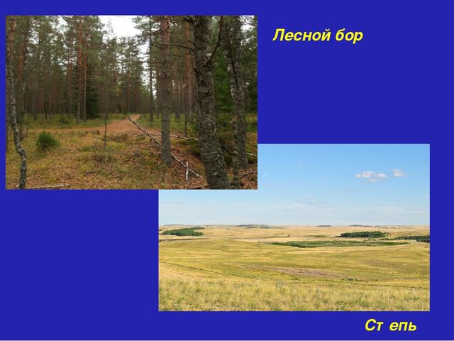 Методическая разработка "Путешествие по Самарскй Луке"