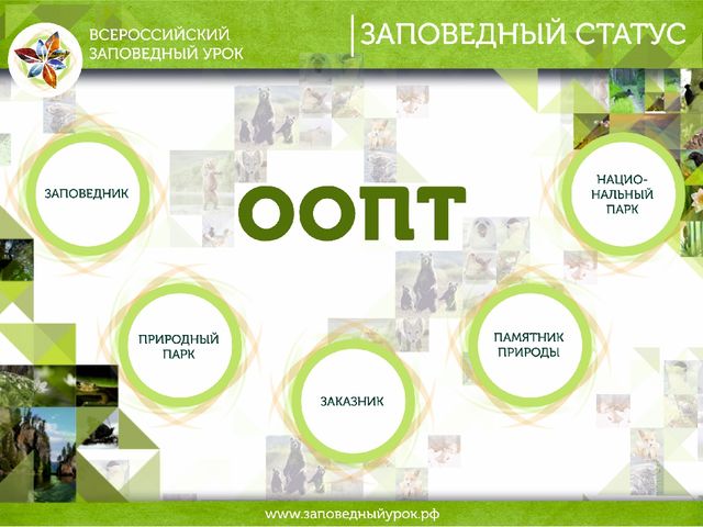 Всероссийский заповедный урок презентация