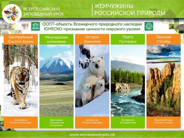 Всероссийский заповедный урок презентация