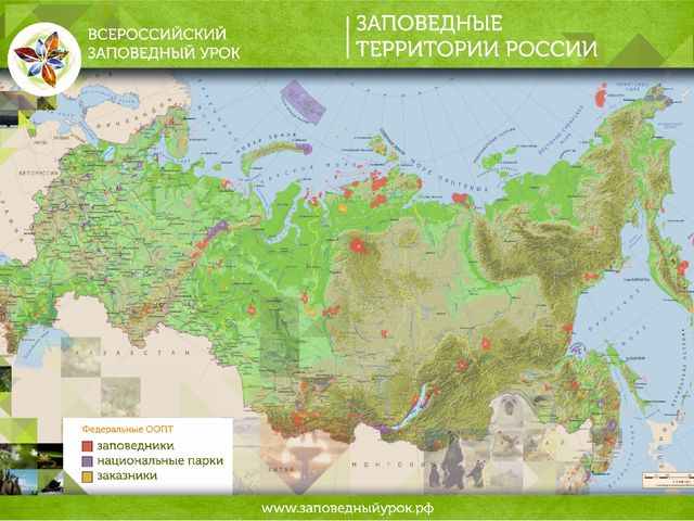Всероссийский заповедный урок презентация