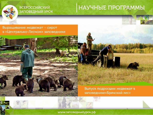 Всероссийский заповедный урок презентация