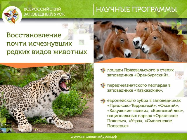 Всероссийский заповедный урок презентация