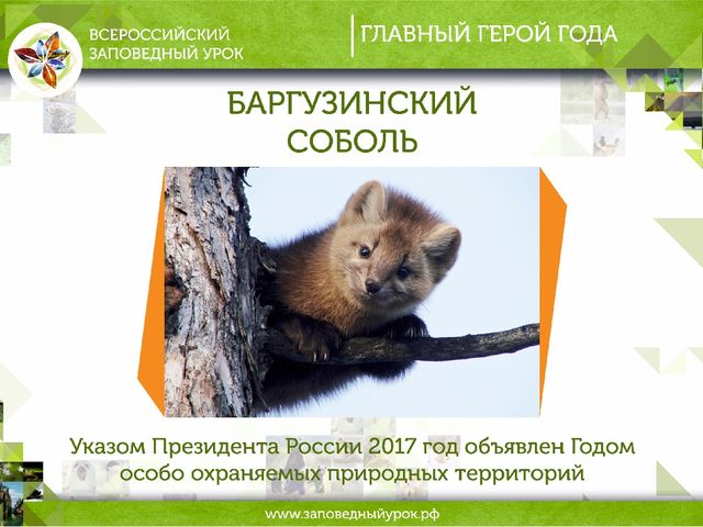 Всероссийский заповедный урок презентация
