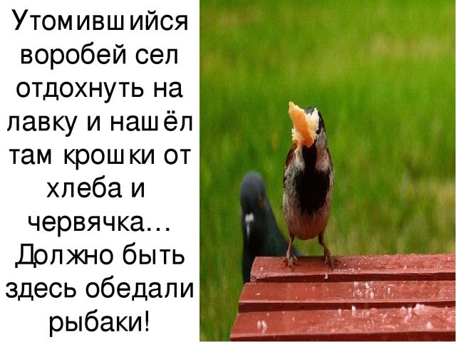 Презентация Авторская сказка "Жадина" с использованием ИКТ