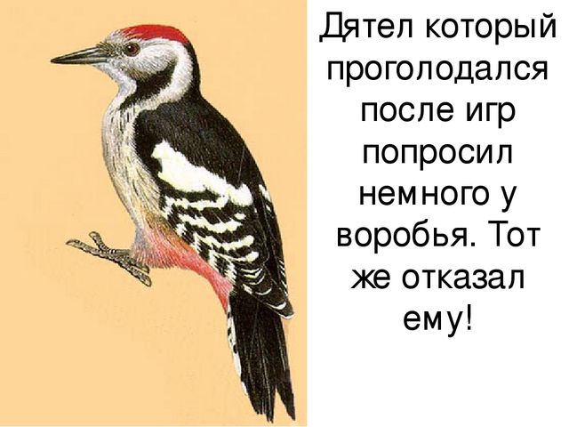 Презентация Авторская сказка "Жадина" с использованием ИКТ