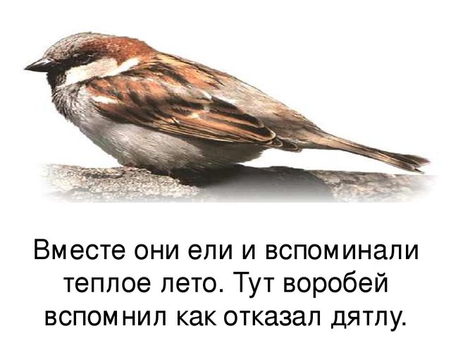 Презентация Авторская сказка "Жадина" с использованием ИКТ