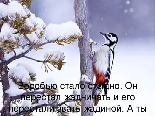 Презентация Авторская сказка "Жадина" с использованием ИКТ