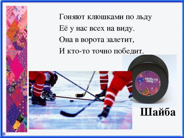 Презентация Зимние виды спорта