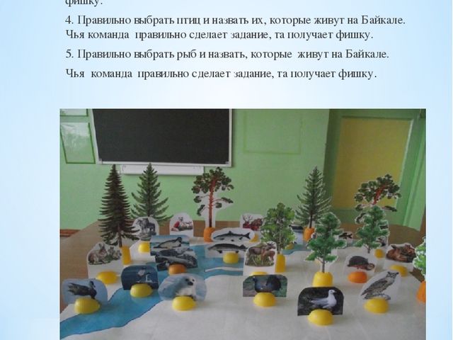 Брошюра по окружающему миру на тему "Байкал - жемчужина Сибири"