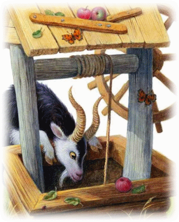 Picture 5
