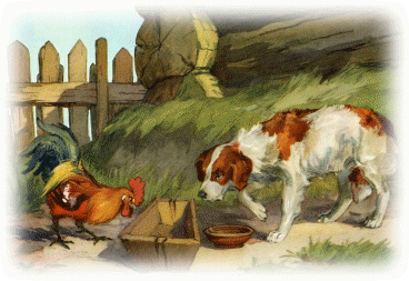 Picture 17