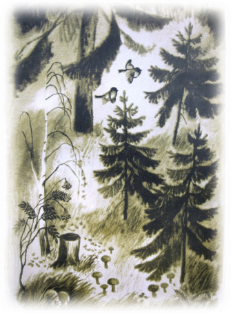 Picture 56