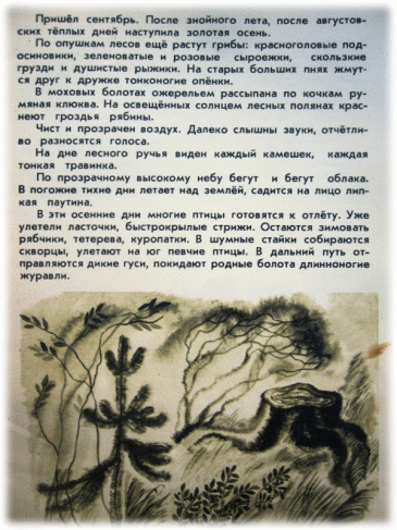 Picture 57
