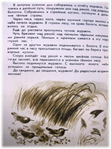 Picture 58