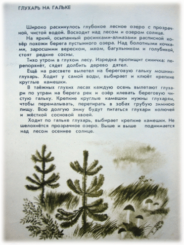 Picture 62