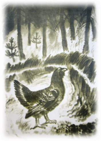 Picture 63