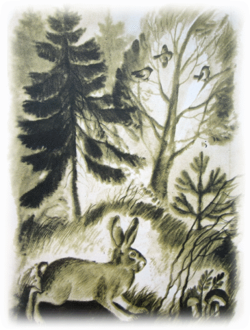 Picture 65