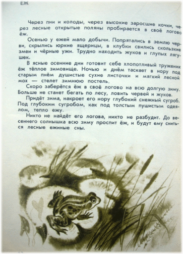 Picture 66