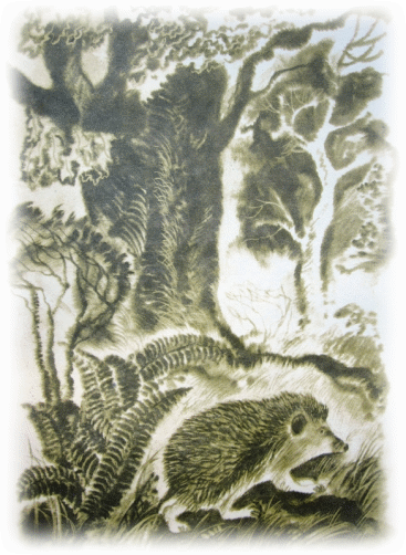 Picture 67