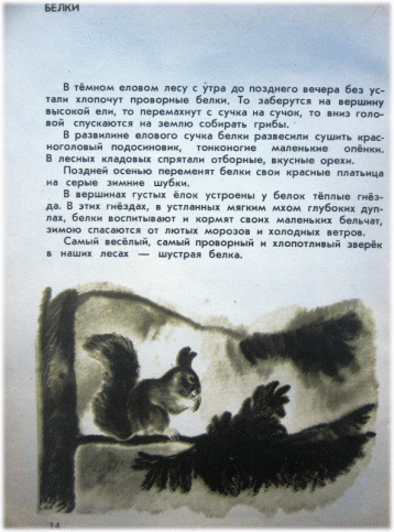 Picture 68