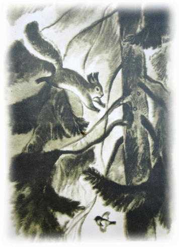 Picture 69