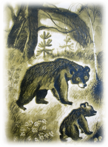 Picture 71