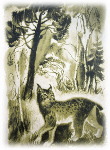 Picture 73