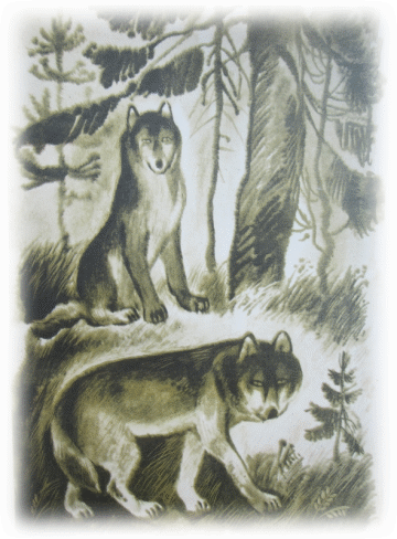 Picture 77