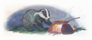 Picture 16