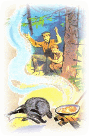 Picture 25