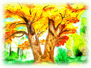 Picture 40