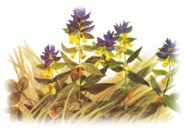 Picture 22
