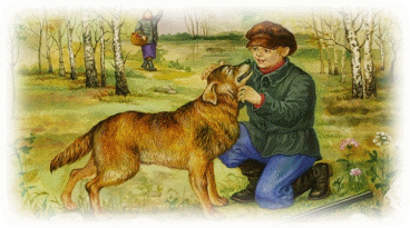 Picture 43